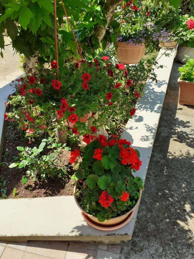 Apartman Danijela Zagorje Esterno foto