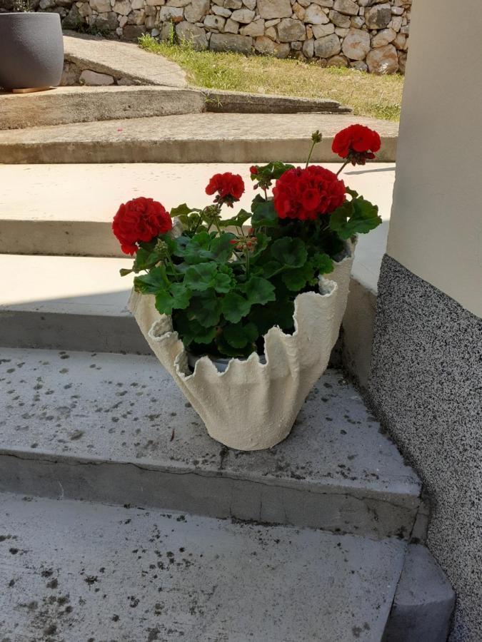 Apartman Danijela Zagorje Esterno foto