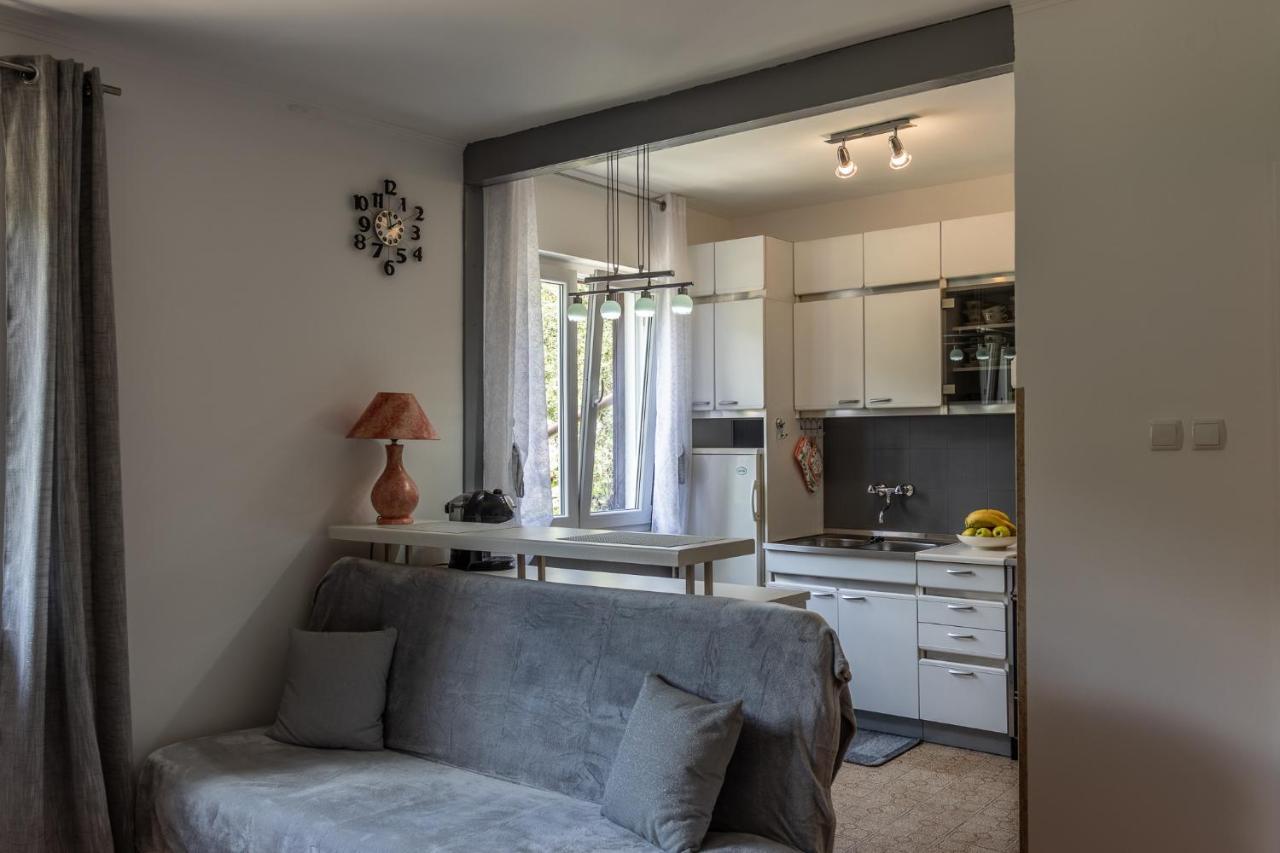 Apartman Danijela Zagorje Esterno foto