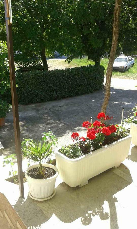 Apartman Danijela Zagorje Esterno foto