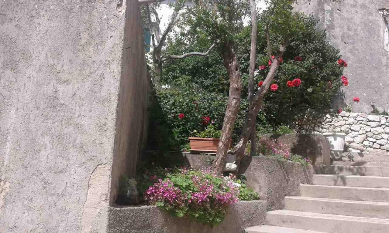 Apartman Danijela Zagorje Esterno foto