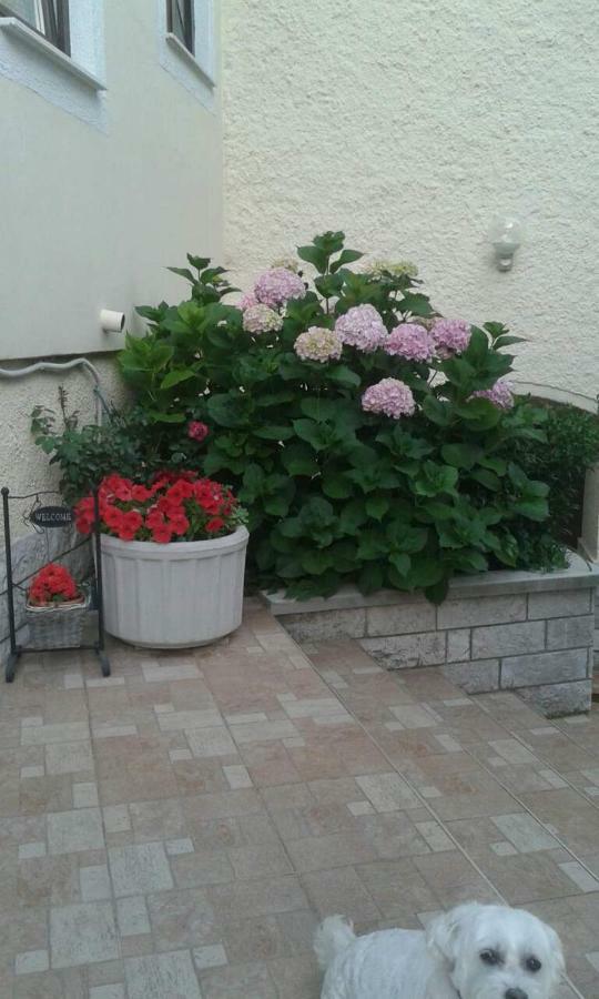 Apartman Danijela Zagorje Esterno foto